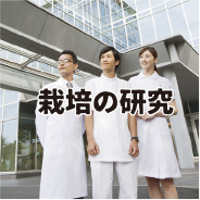 栽培の研究