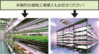 本格的な植物工場導入もお任せください